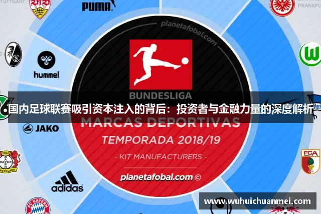 国内足球联赛吸引资本注入的背后：投资者与金融力量的深度解析
