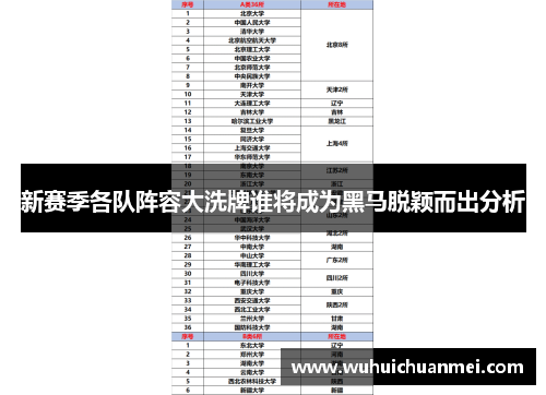 新赛季各队阵容大洗牌谁将成为黑马脱颖而出分析