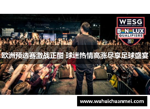 欧洲预选赛激战正酣 球迷热情高涨尽享足球盛宴