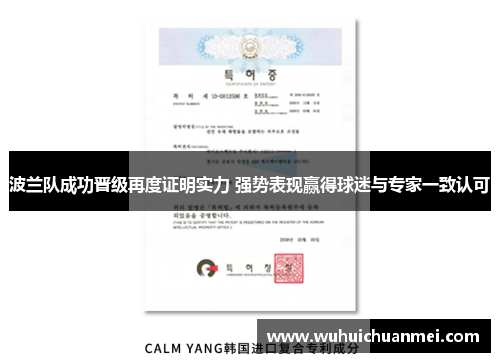 波兰队成功晋级再度证明实力 强势表现赢得球迷与专家一致认可