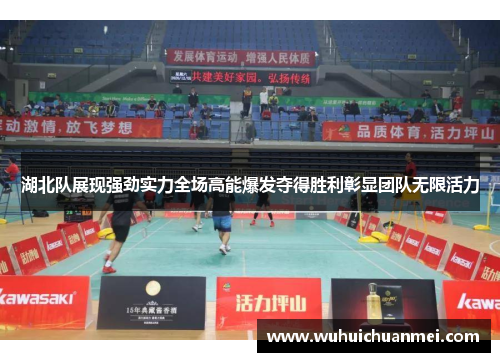 湖北队展现强劲实力全场高能爆发夺得胜利彰显团队无限活力