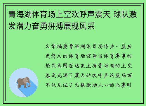青海湖体育场上空欢呼声震天 球队激发潜力奋勇拼搏展现风采