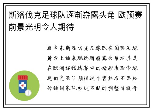 斯洛伐克足球队逐渐崭露头角 欧预赛前景光明令人期待