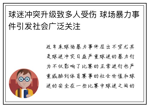 球迷冲突升级致多人受伤 球场暴力事件引发社会广泛关注