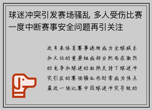 球迷冲突引发赛场骚乱 多人受伤比赛一度中断赛事安全问题再引关注